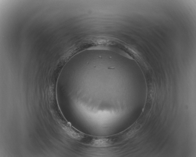 X0000081300461200701181840