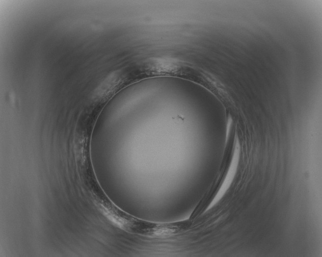 X0000081300462200701181840