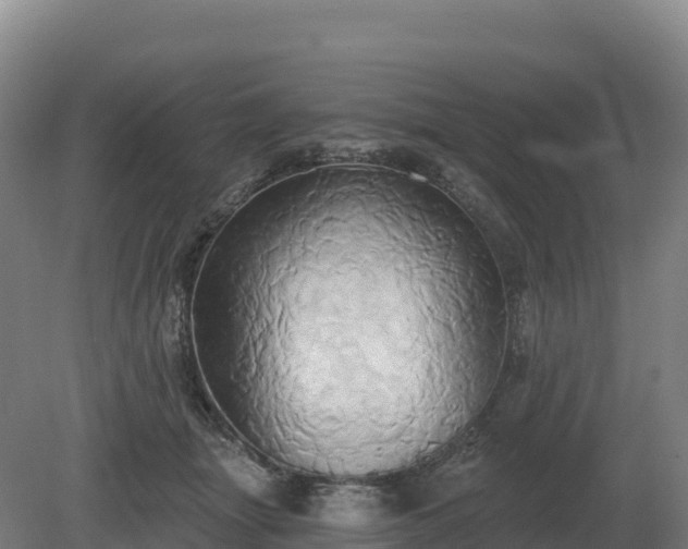 X0000081300463200701181840