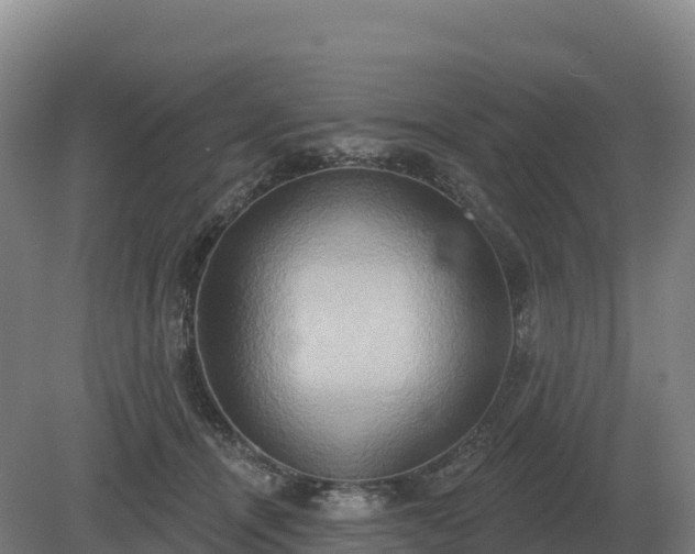 X0000081300464200701181840