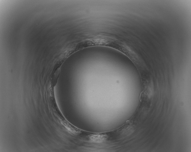 X0000081300465200701181840