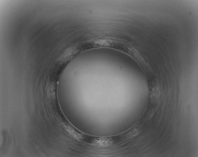 X0000081300466200701181840