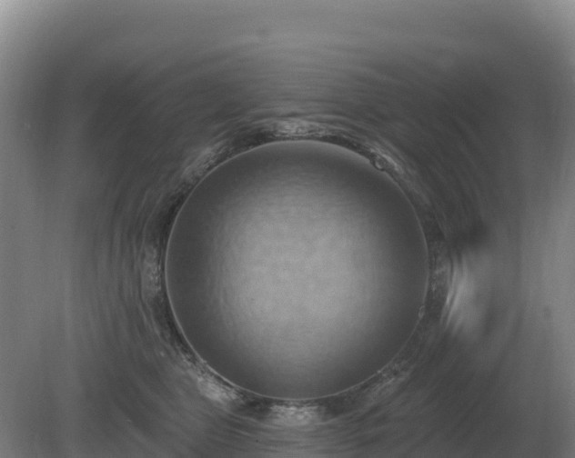 X0000081300469200701181840