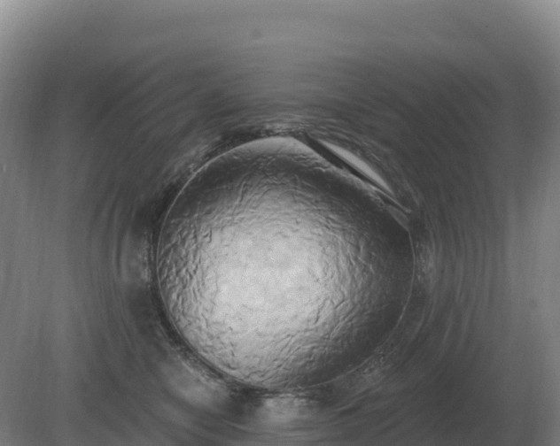 X0000081300470200701181840