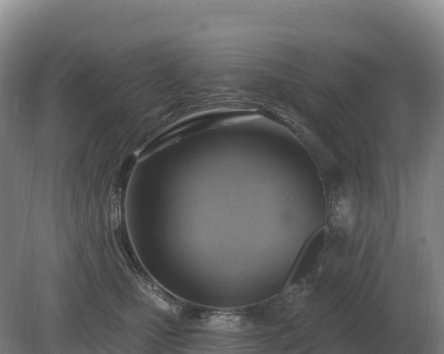 X0000081300471200701181840