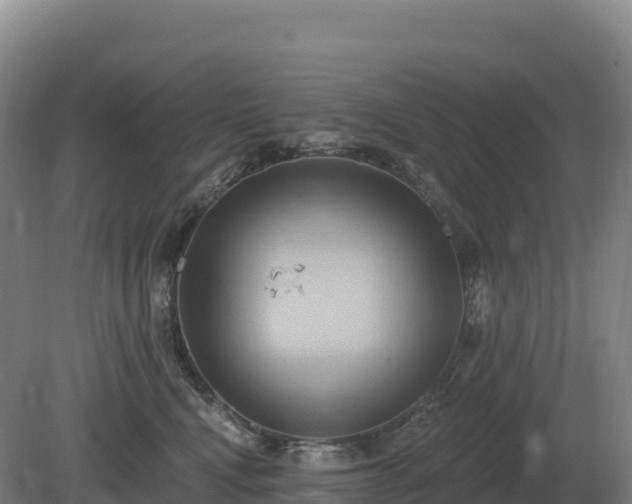 X0000081300472200701181840