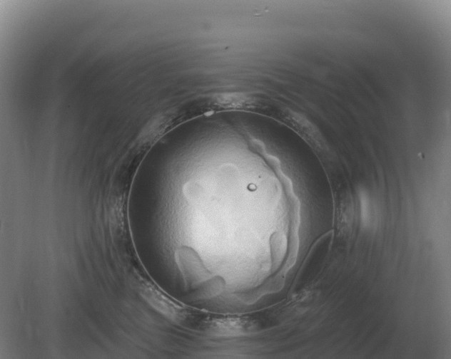 X0000081300473200701181840