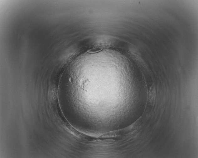 X0000081300474200701181840