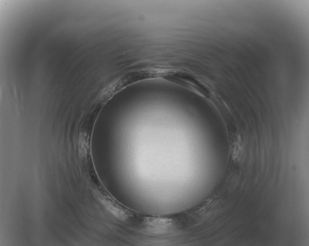 X0000081300476200701181840