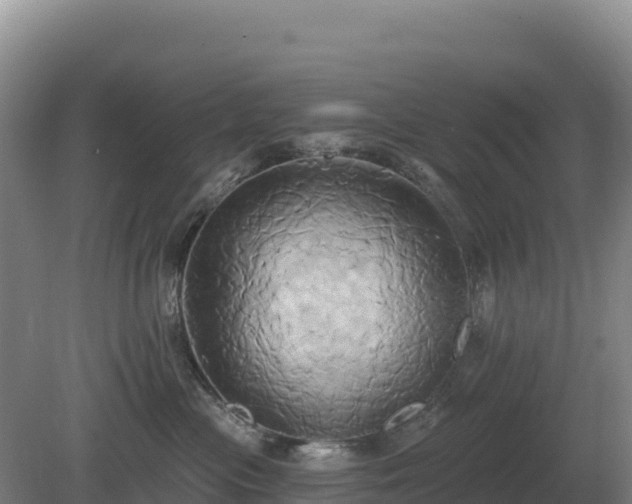 X0000081300477200701181840