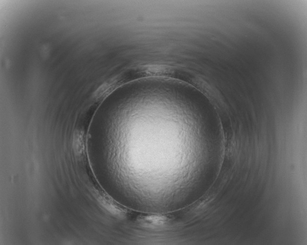 X0000081300478200701181840