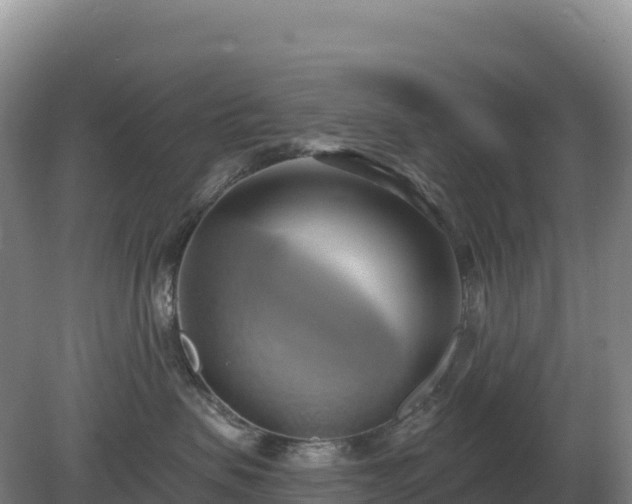 X0000081300479200701181840