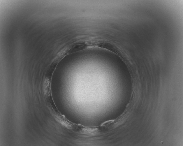 X0000081300480200701181840