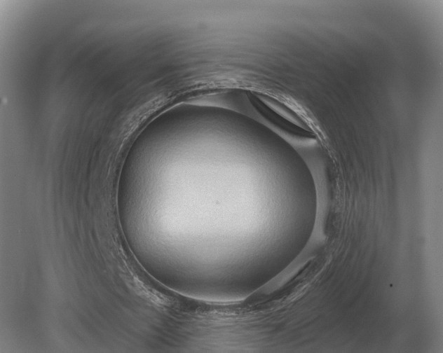 X0000081300481200701181839