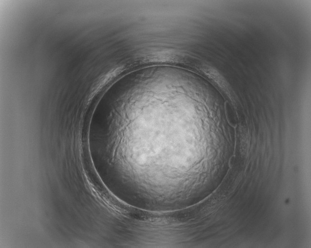 X0000081300482200701181839