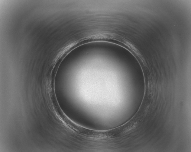 X0000081300485200701181839