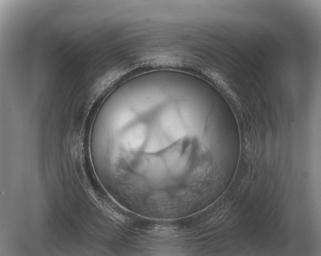 X0000081300487200701181839