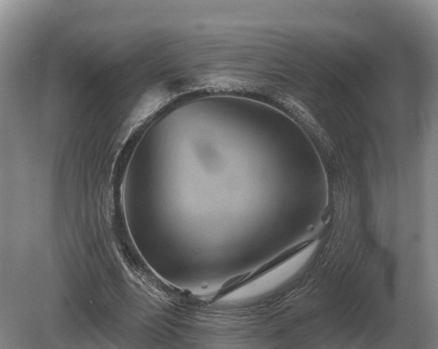 X0000081300488200701181839