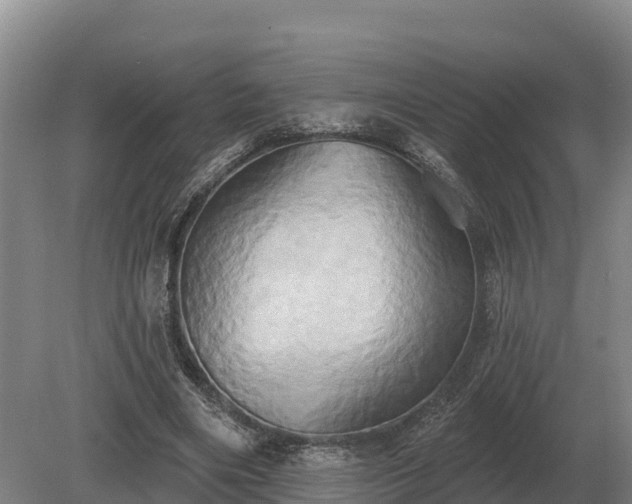 X0000081300490200701181839