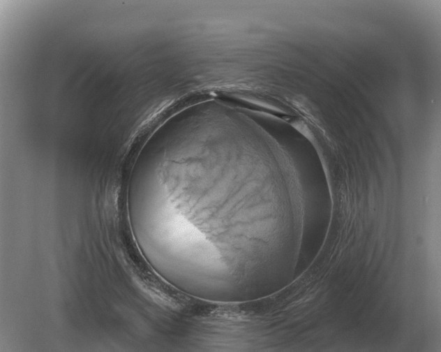 X0000081300491200701181839