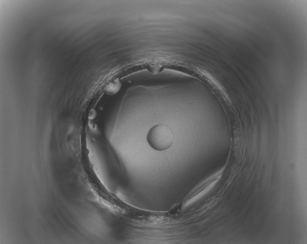 X0000081300493200701181839