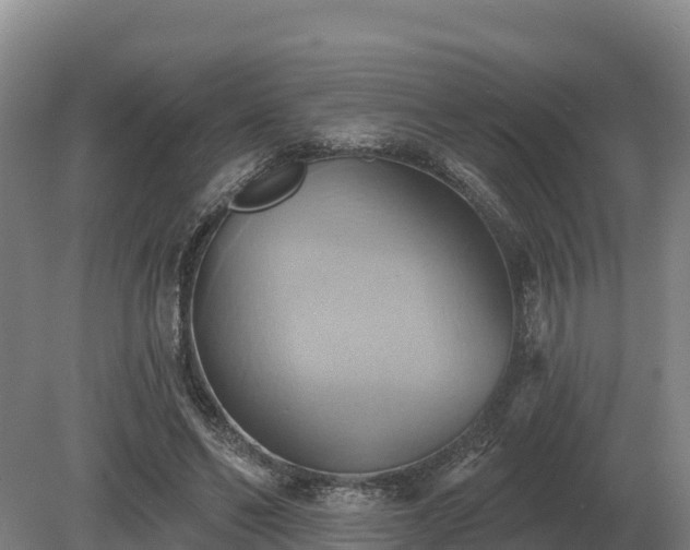 X0000081300494200701181839