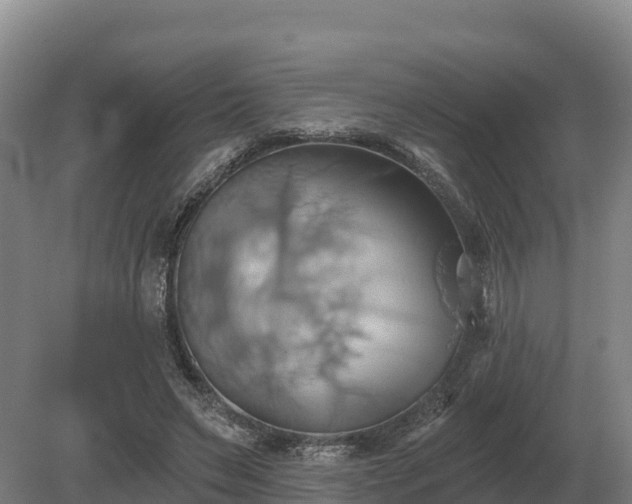 X0000081300495200701181839