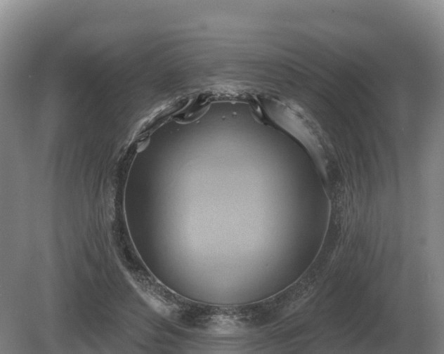 X0000081300496200701181839