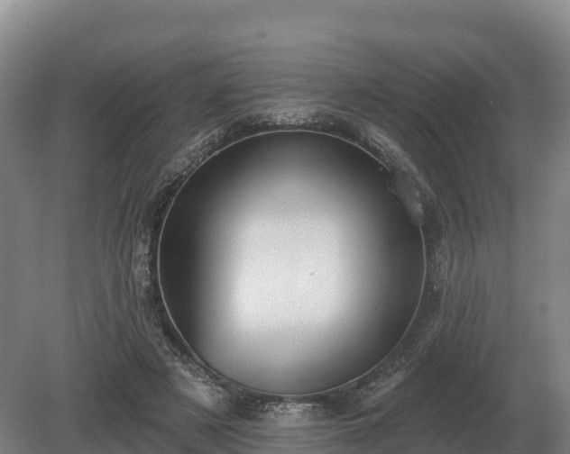 X0000081300497200701181839