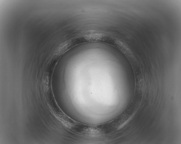 X0000081300498200701181839