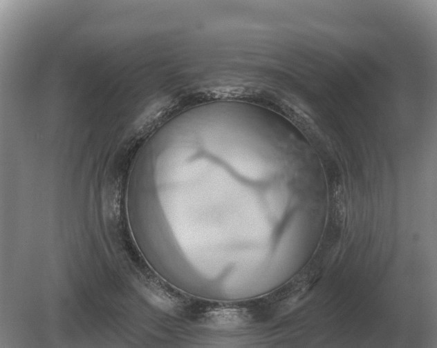 X0000081300499200701181839