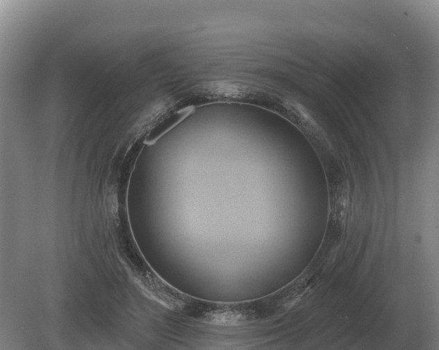 X0000081300500200701181839