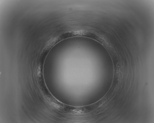 X0000081300502200701181839