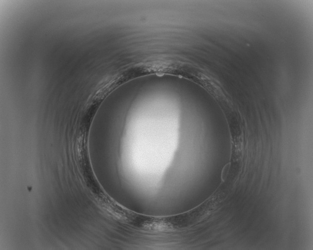 X0000081300503200701181839