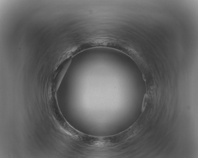 X0000081300504200701181839