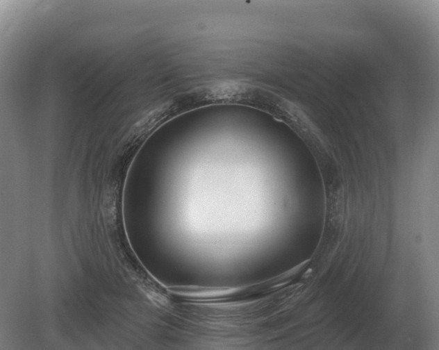 X0000081300505200701181839