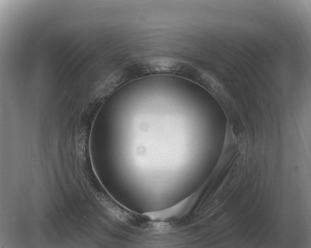 X0000081300509200701181839