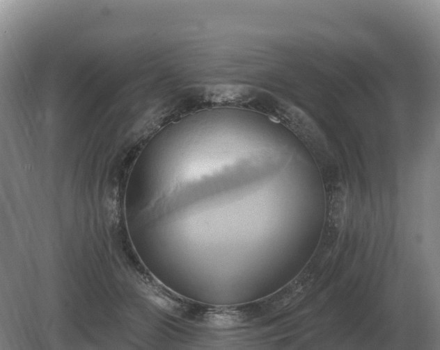 X0000081300510200701181839