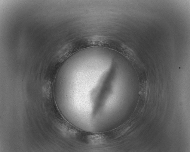 X0000081300511200701181839