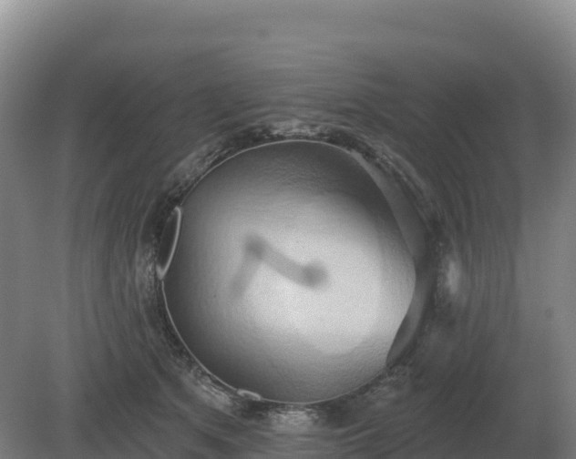 X0000081300513200701181839