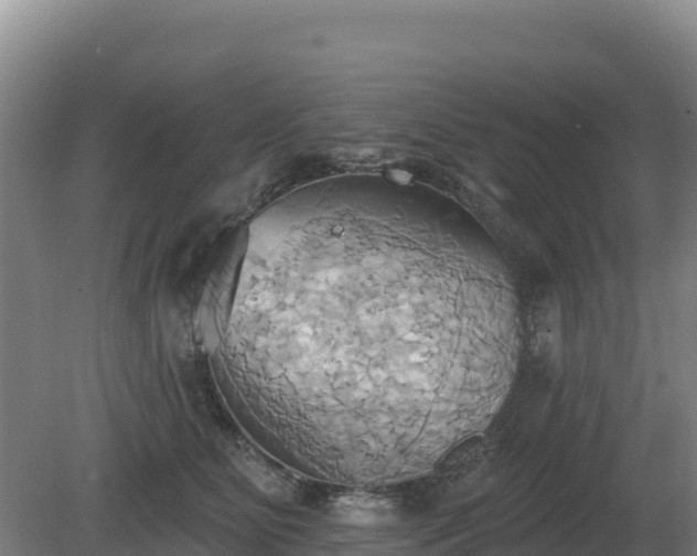 X0000081300515200701181839