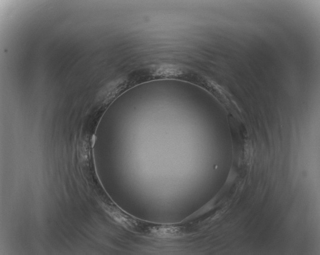 X0000081300517200701181839