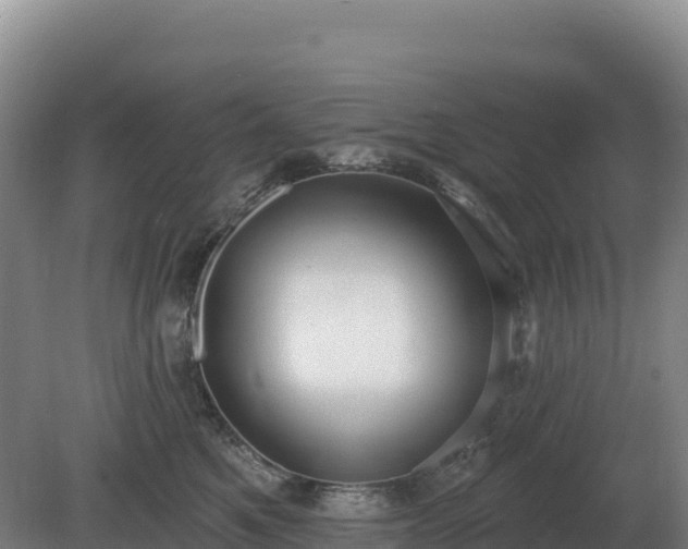 X0000081300521200701181838