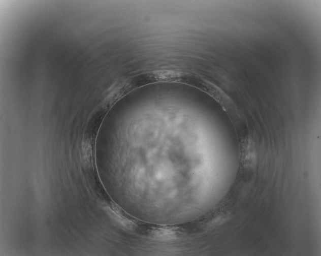 X0000081300523200701181838