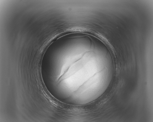 X0000081300529200701181838