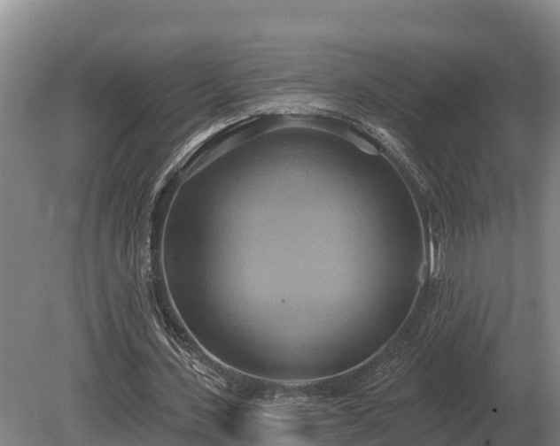 X0000081300531200701181838