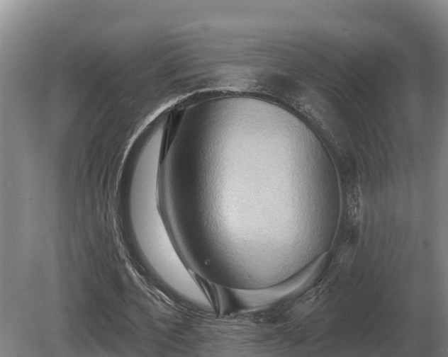 X0000081300532200701181838