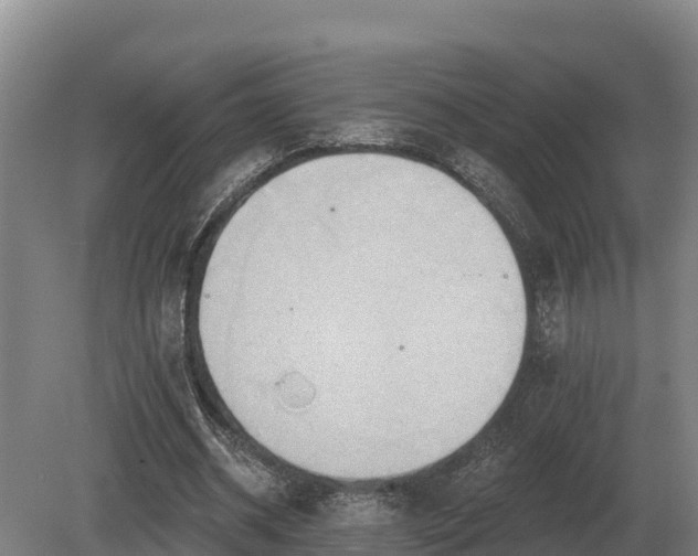 X0000081300534200701181838