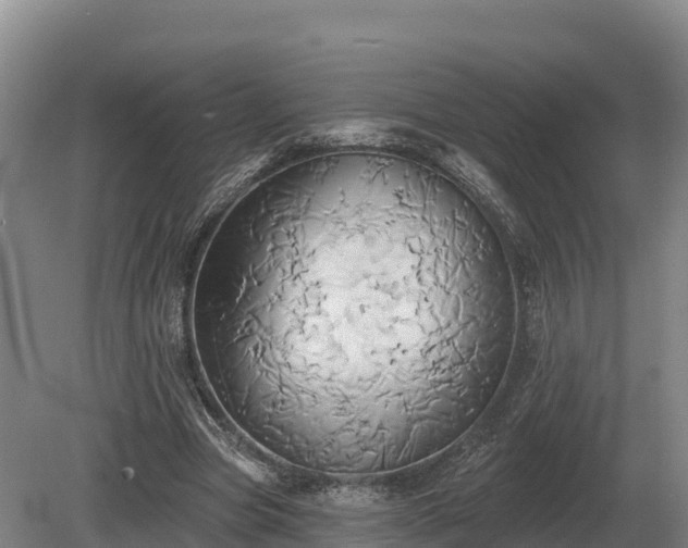 X0000081300537200701181838