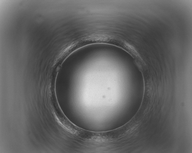 X0000081300538200701181838